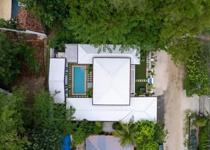 Hébergement de vacances Modern Garden With Private Pool, Outdoor Kitchen & Separate Casita Near Playa
